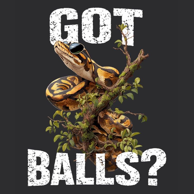 Python roi Serpents Amateurs de terrarium Python