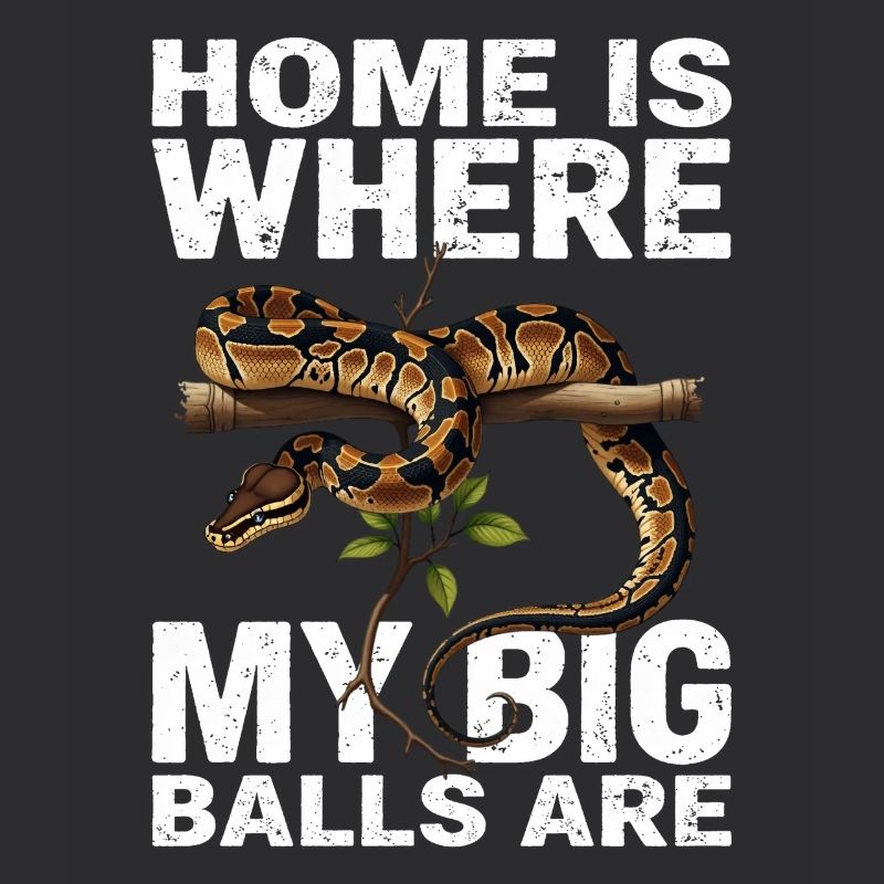 Python roi Serpents Amateurs de terrarium Python