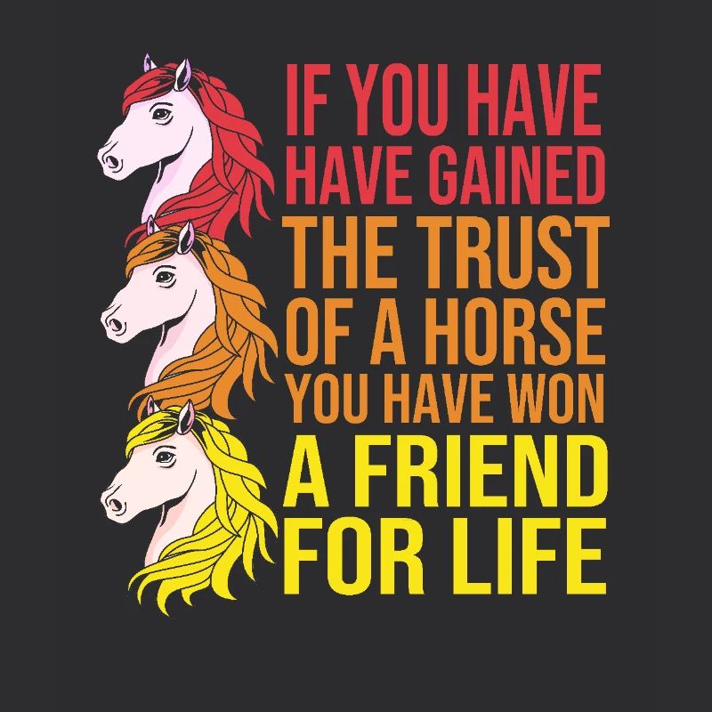 Springreiten Springpferd