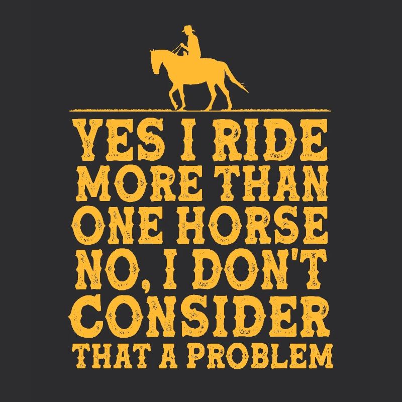 Springreiten Springpferd