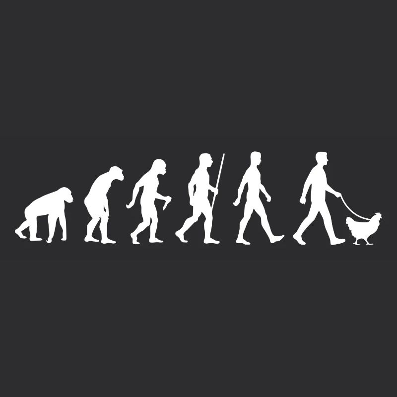 Chicken Breeder Evolution Chicken Breeding Development