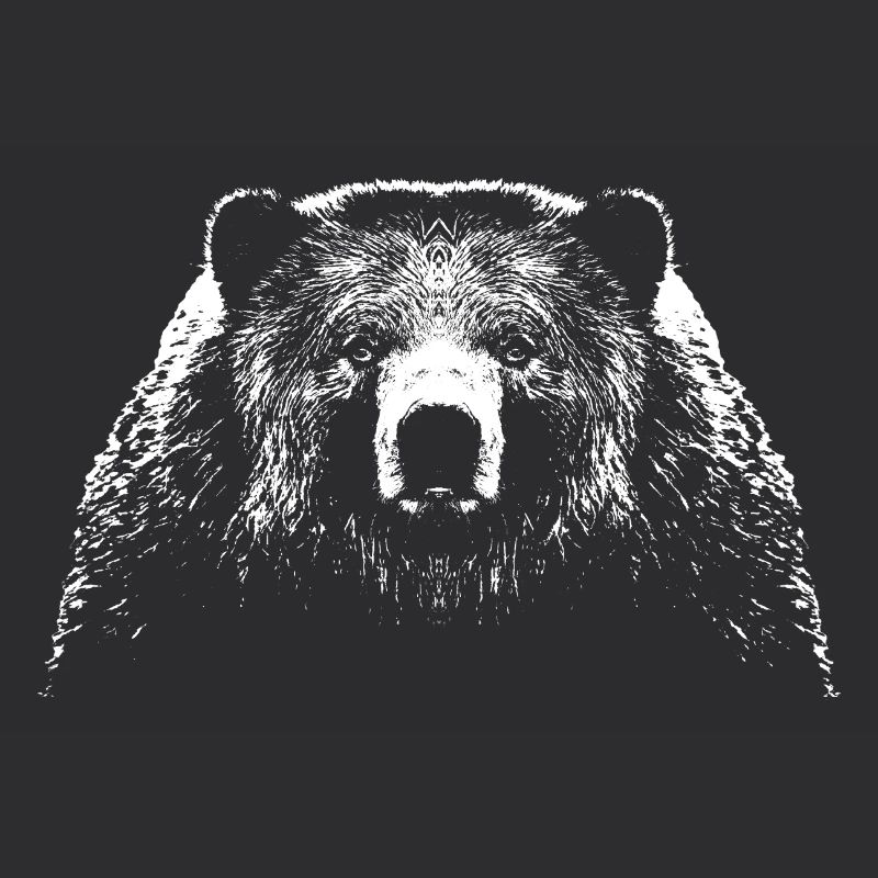Bear / Head / Bear