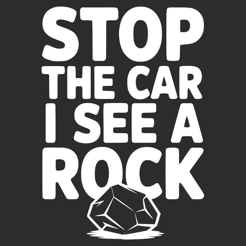 Stop the Car I See a Rock
