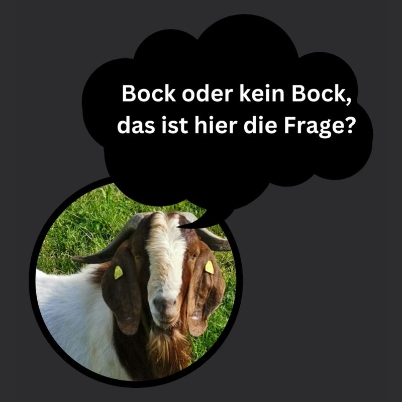 Chemise amusante « Bock oder kein Bock... »