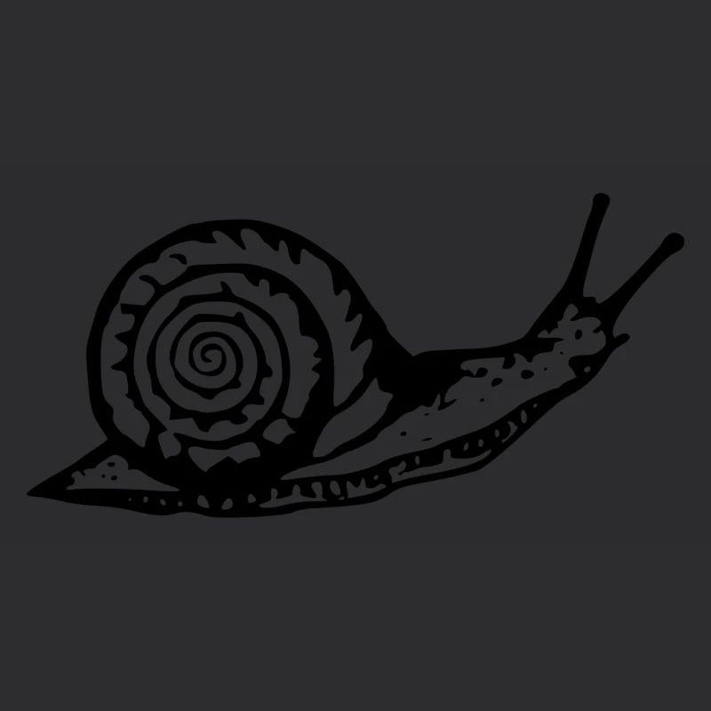 Snail noir et withe