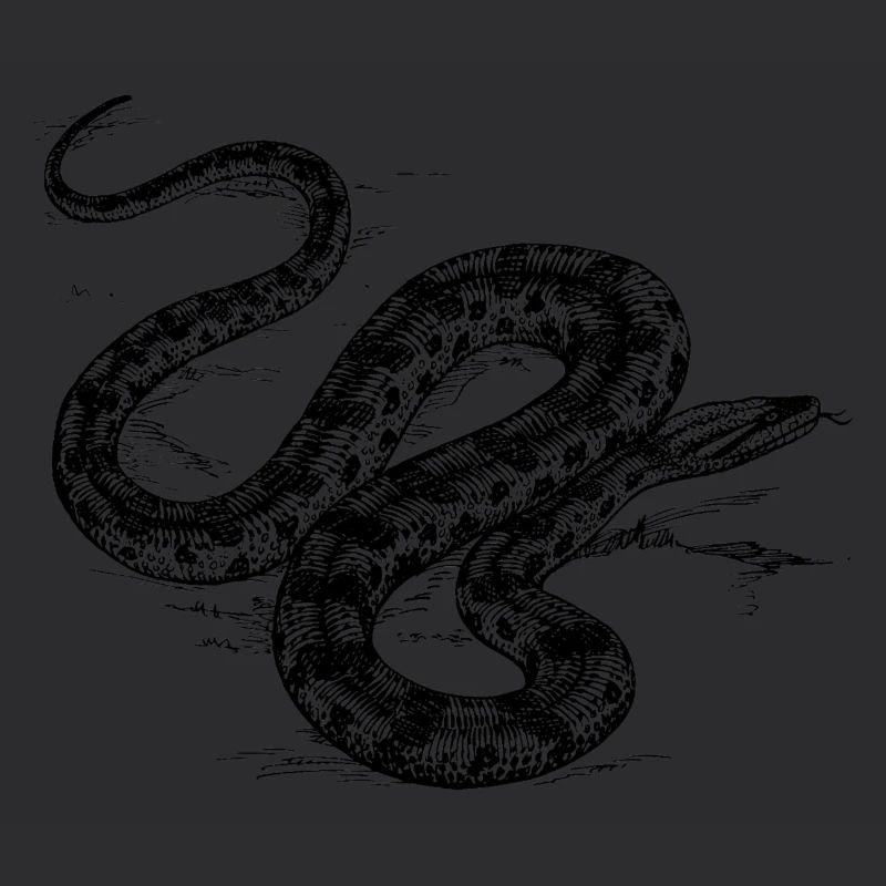 Serpente grigio