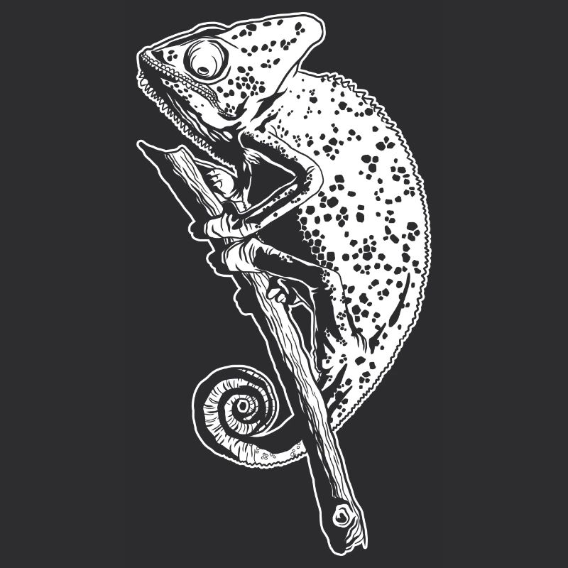 Chameleon Lizard Graphic Reptile Chameleon Lover