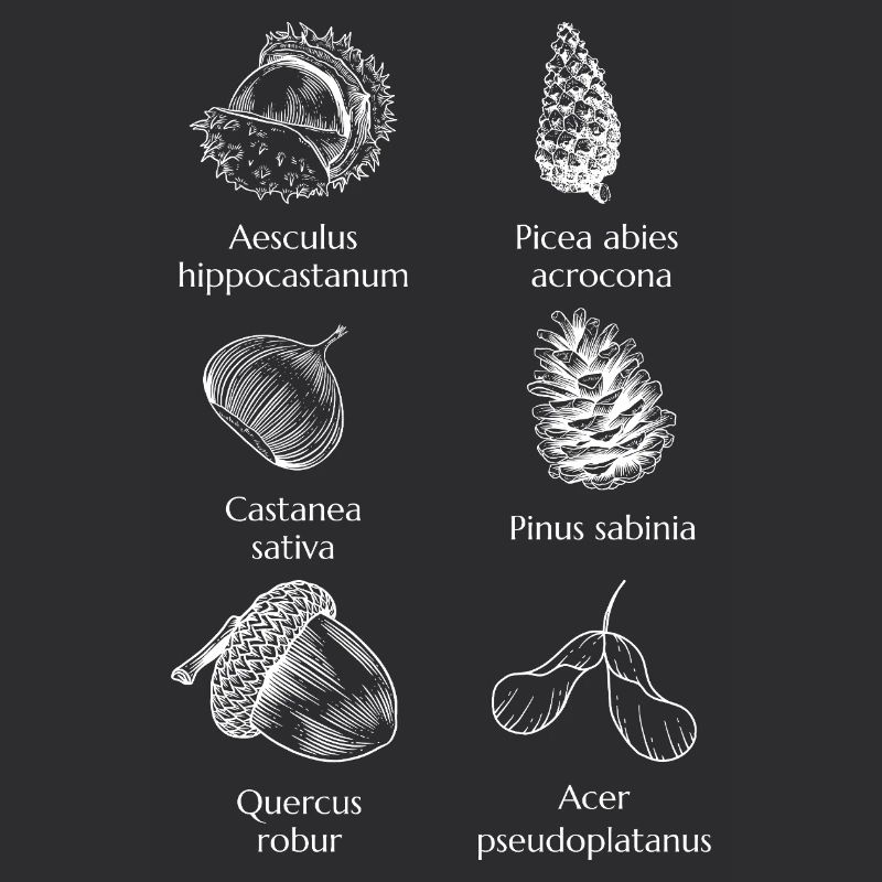 Nature's Bitter Sagittarius - Minimalist & Timeless