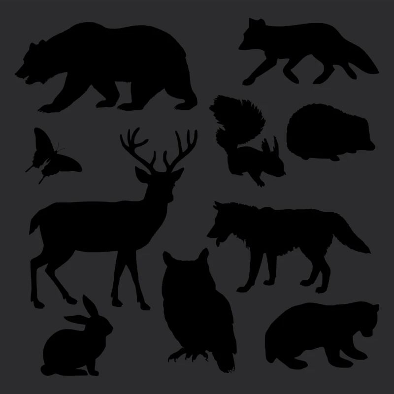 Wildlife