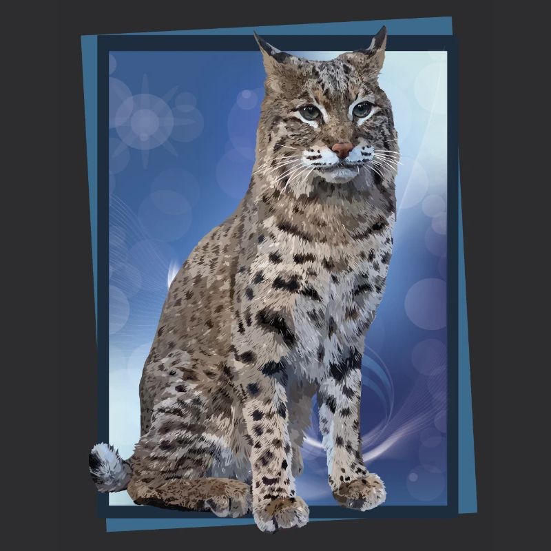 Lynx
