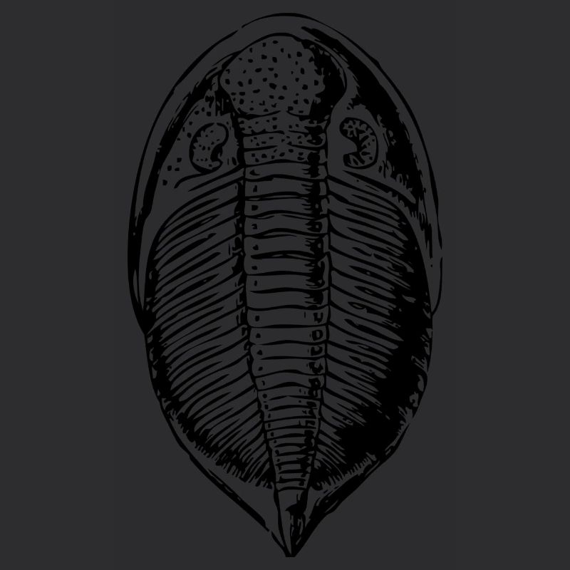 Fossil