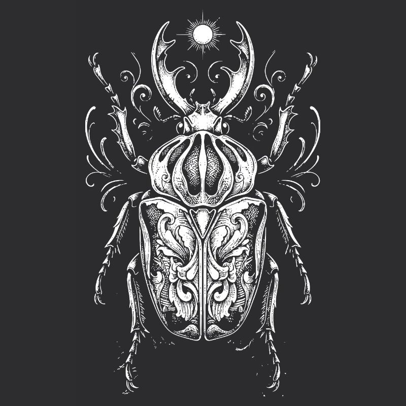 Conception anatomique des insectes