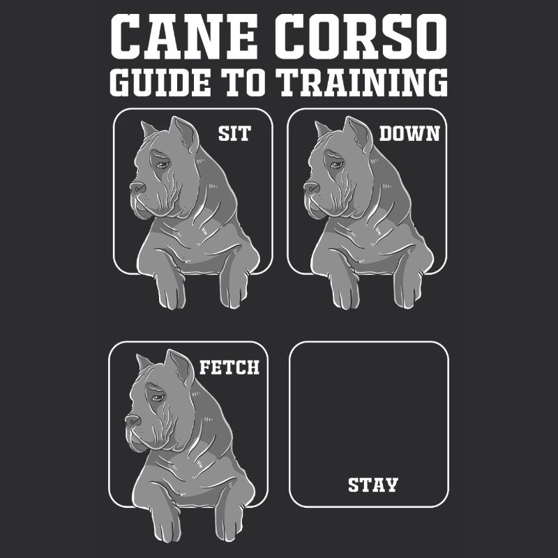 Cane Corso