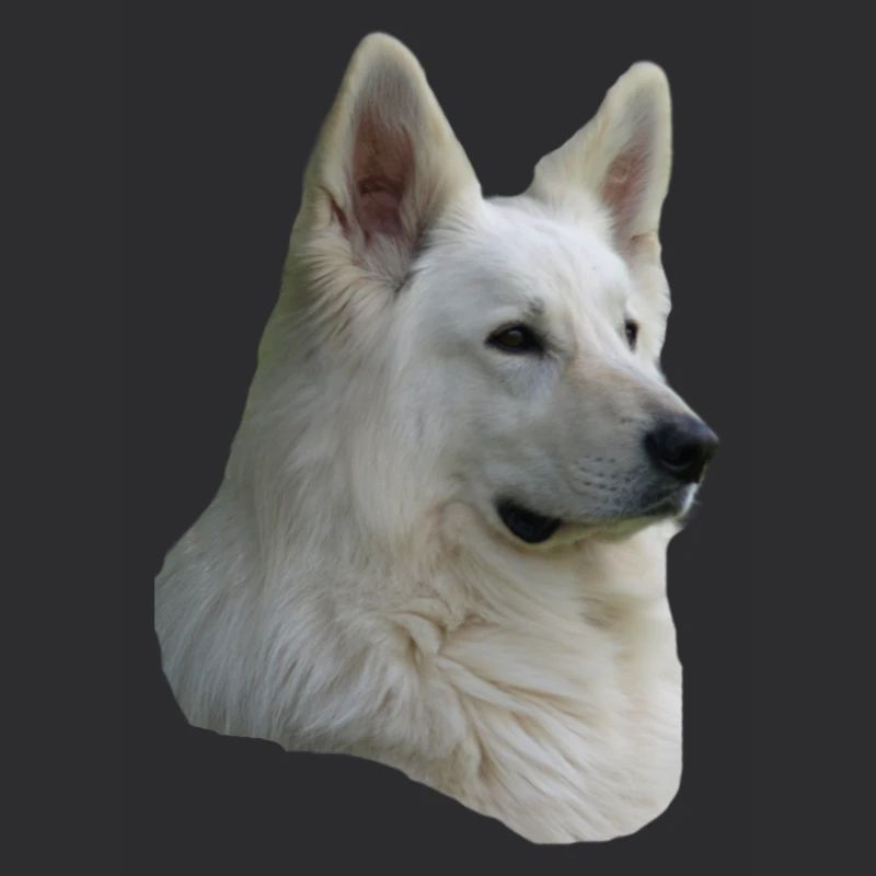 White Shepherd Head