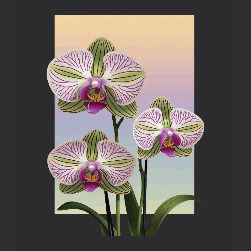 Orchidee