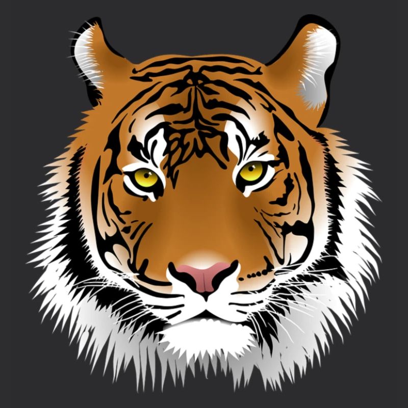 Tiger head