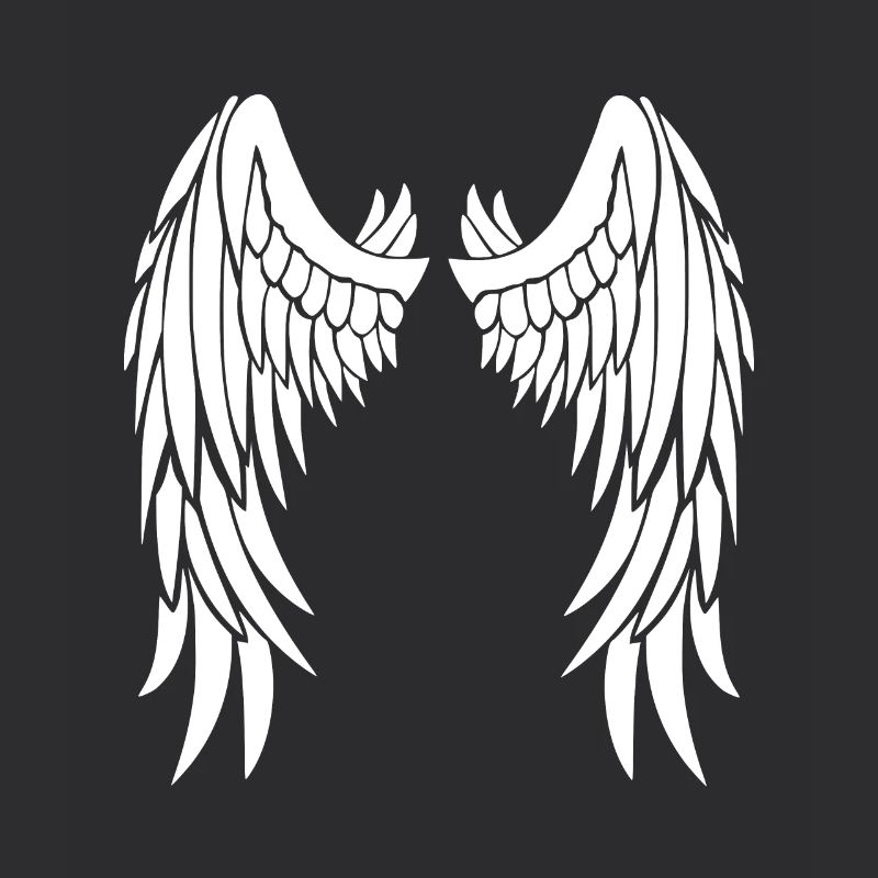 Ailes d’ange blanches sur le dos
