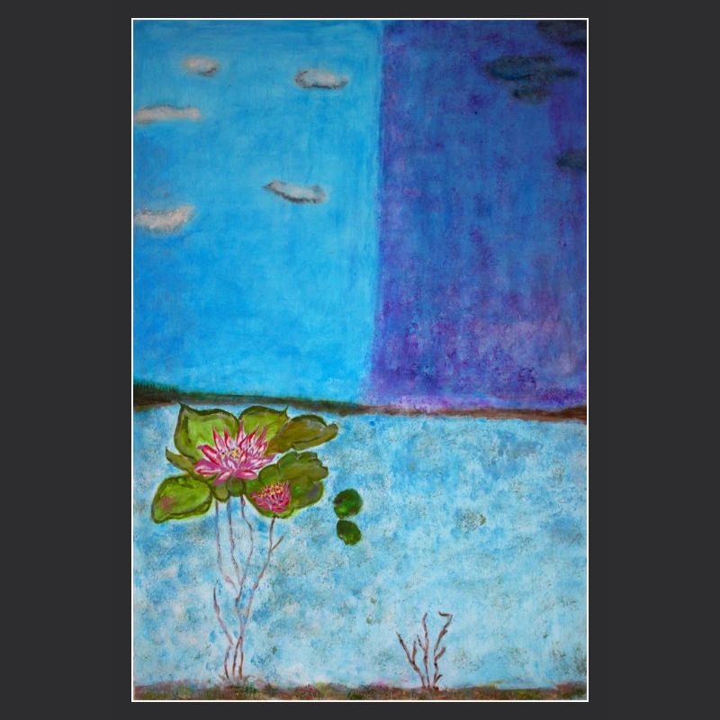 Classification RAUNKIER Hydrophyte Melika