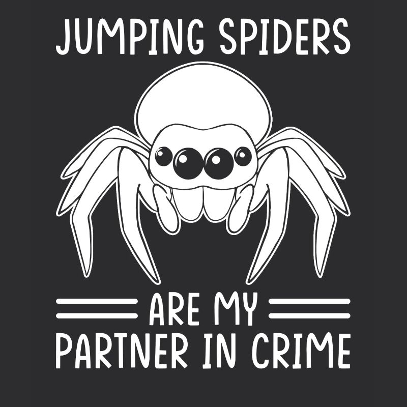 Dicton Jumping Spider
