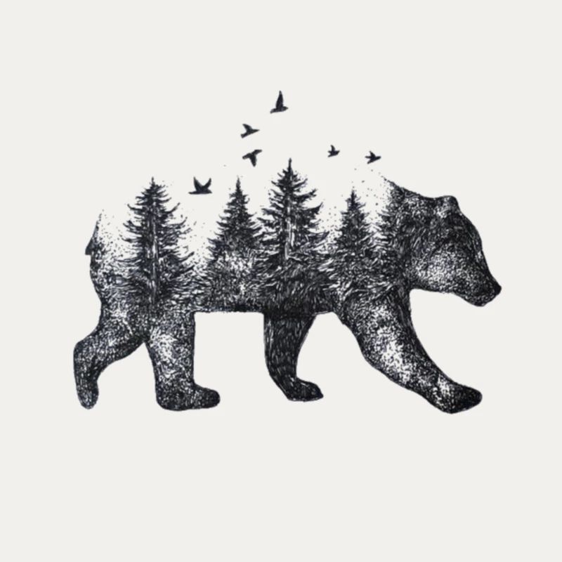 Bär