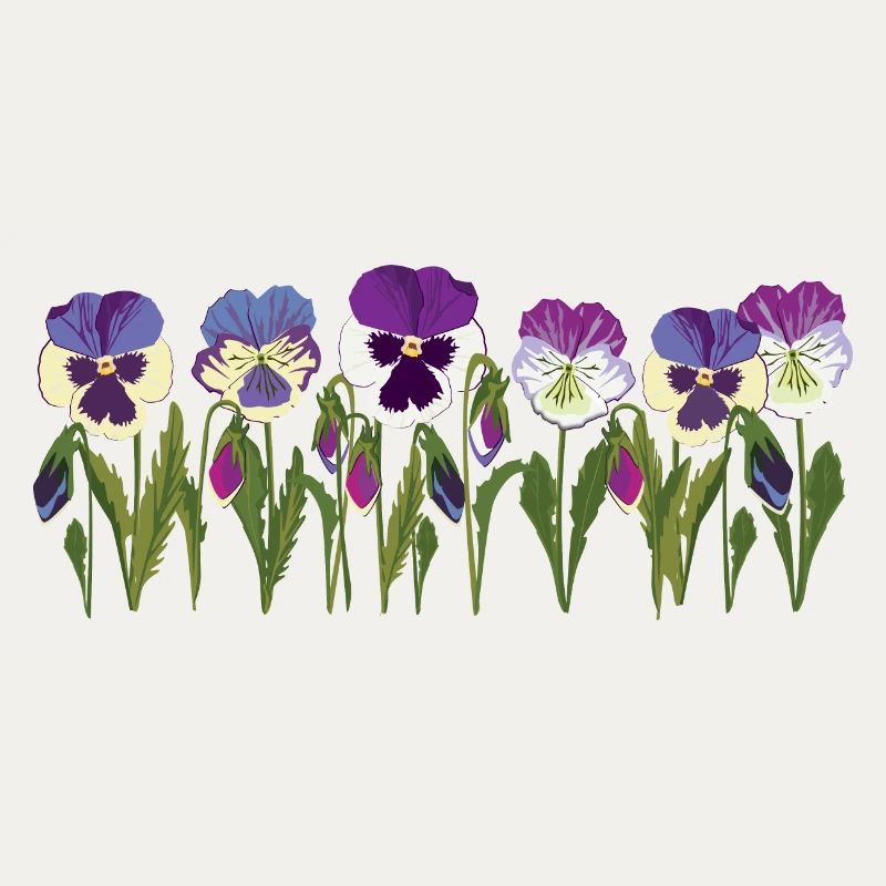 Rangée de fleurs de pensée en violet