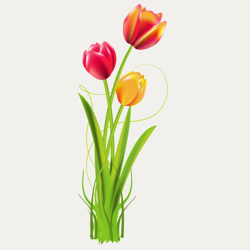 Three brightly coloured tulips as a spring bouquet