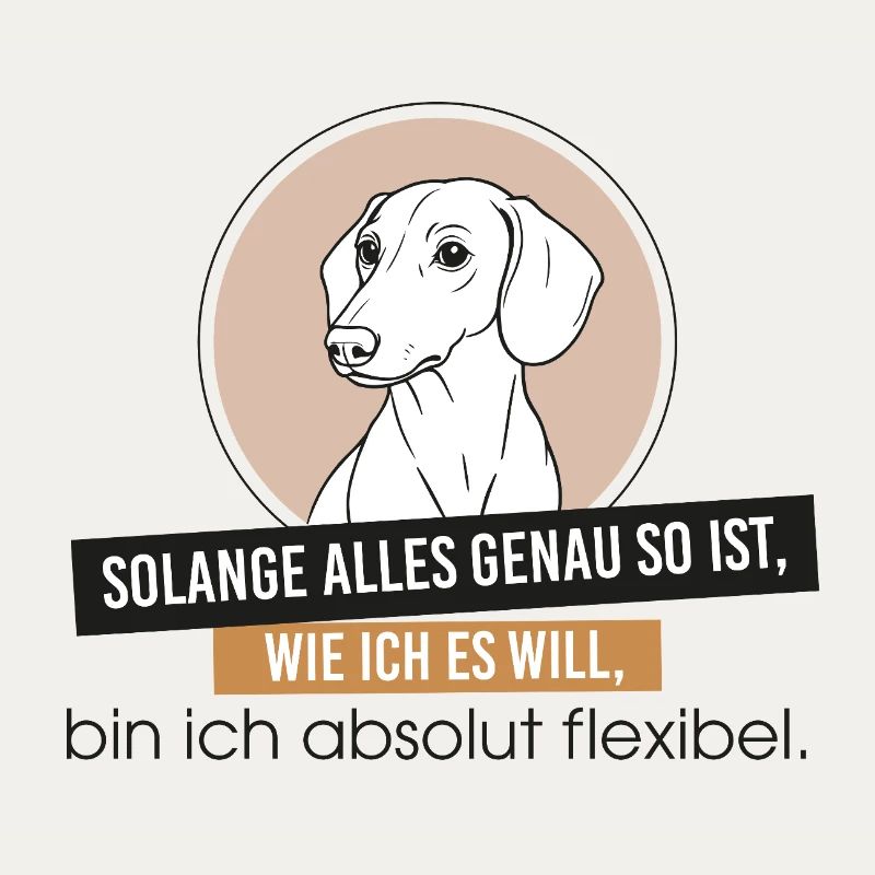 Teckel Teckel Saucisse Chien Teckel Têtu