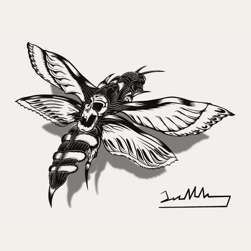 Moth