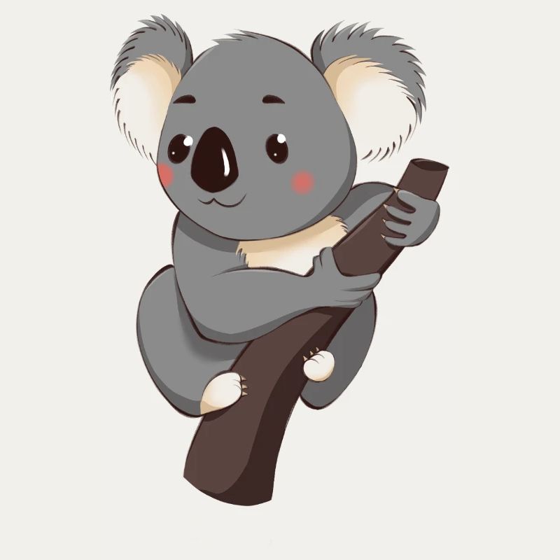 Koala