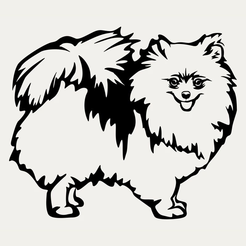 Spitz nain