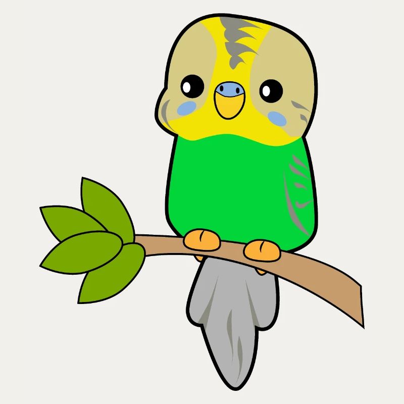 Budgerigar Parrot