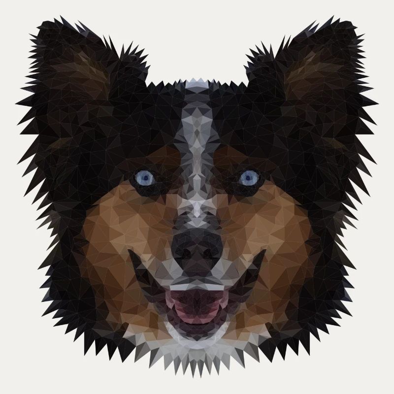 Polygon Dog