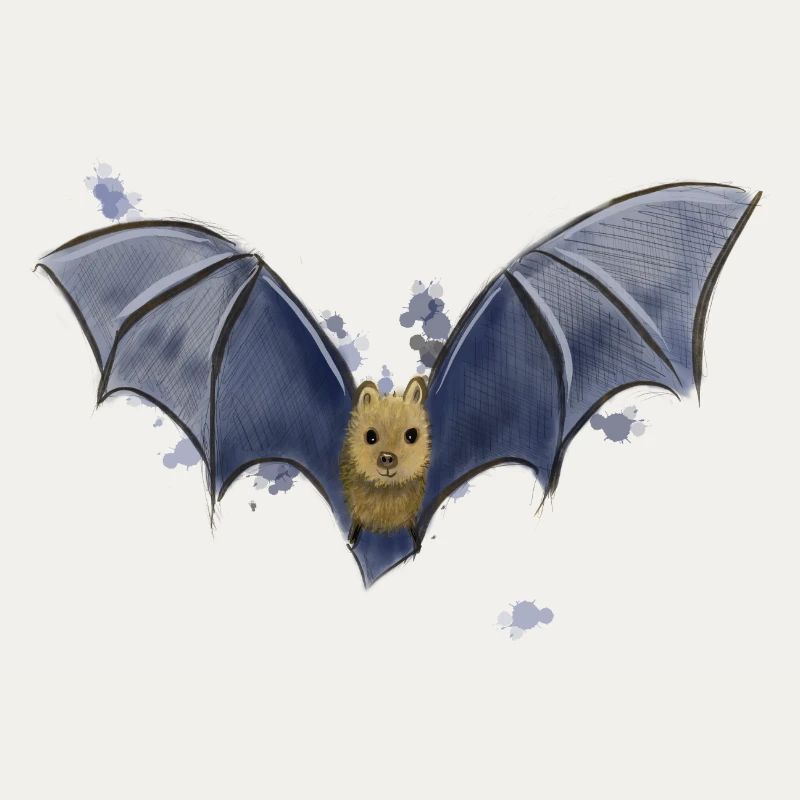 Bat