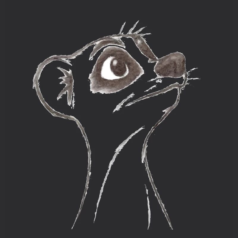 Suricate d’interrogation