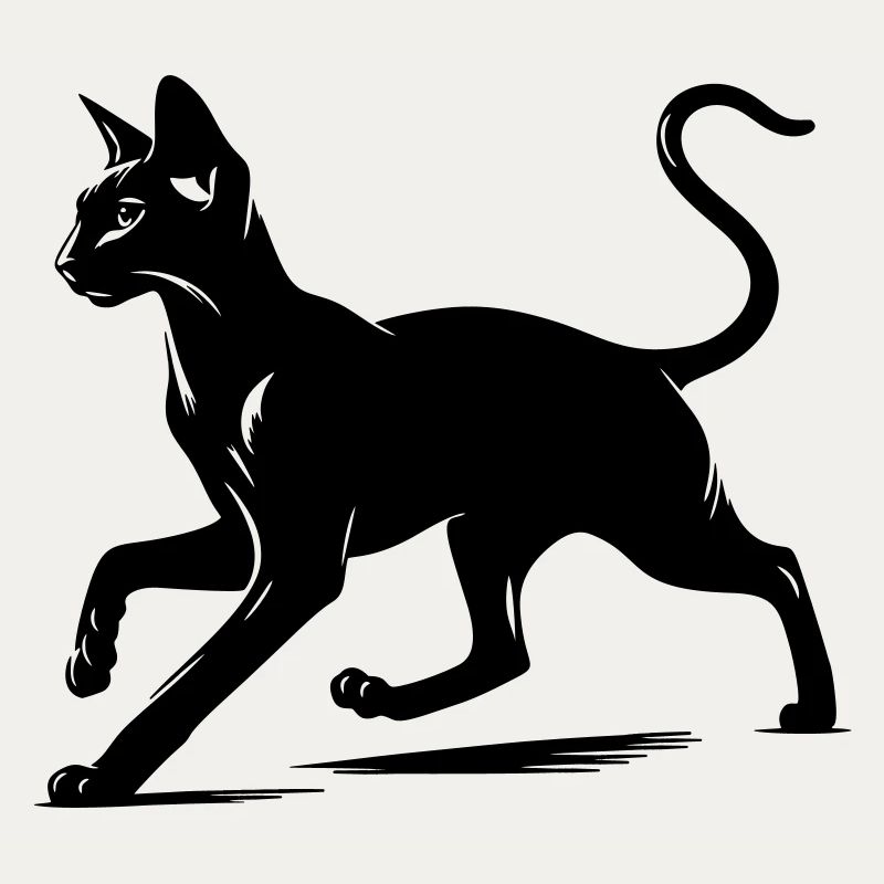 Orientalisch Kurzhaar Katze