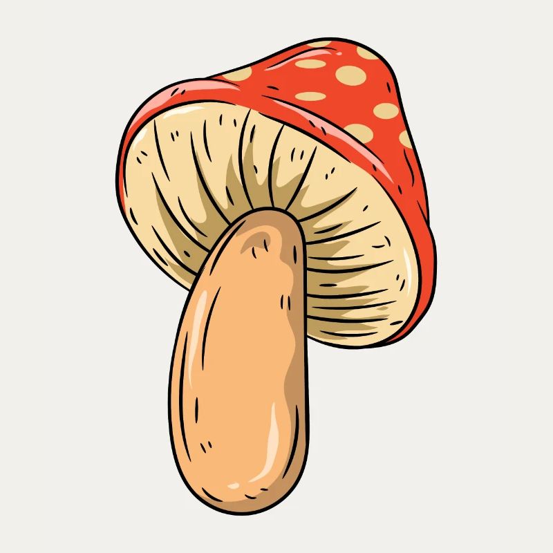 Mushroom
