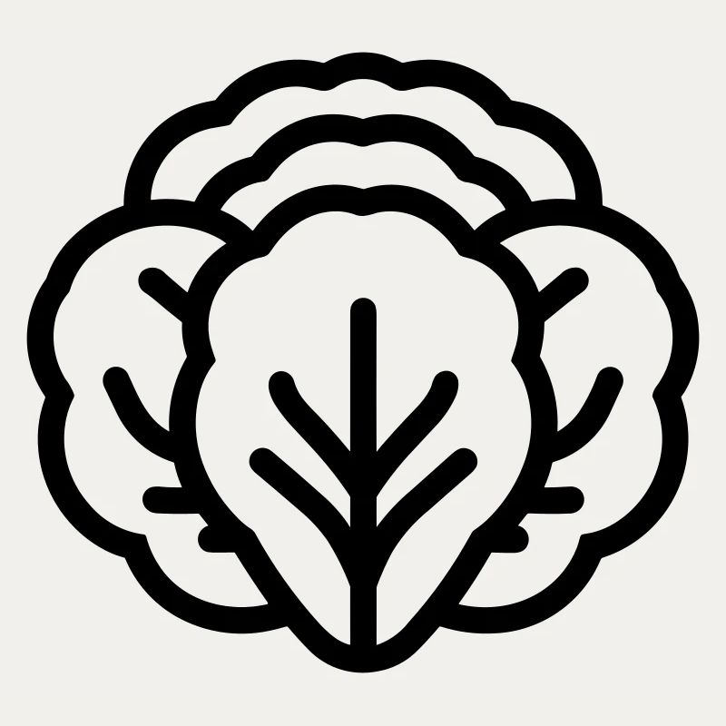 cabbage