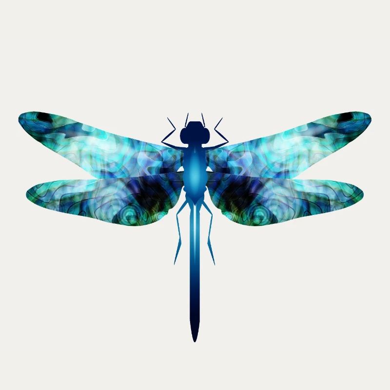 Libellule irisée dans les tons bleu-vert