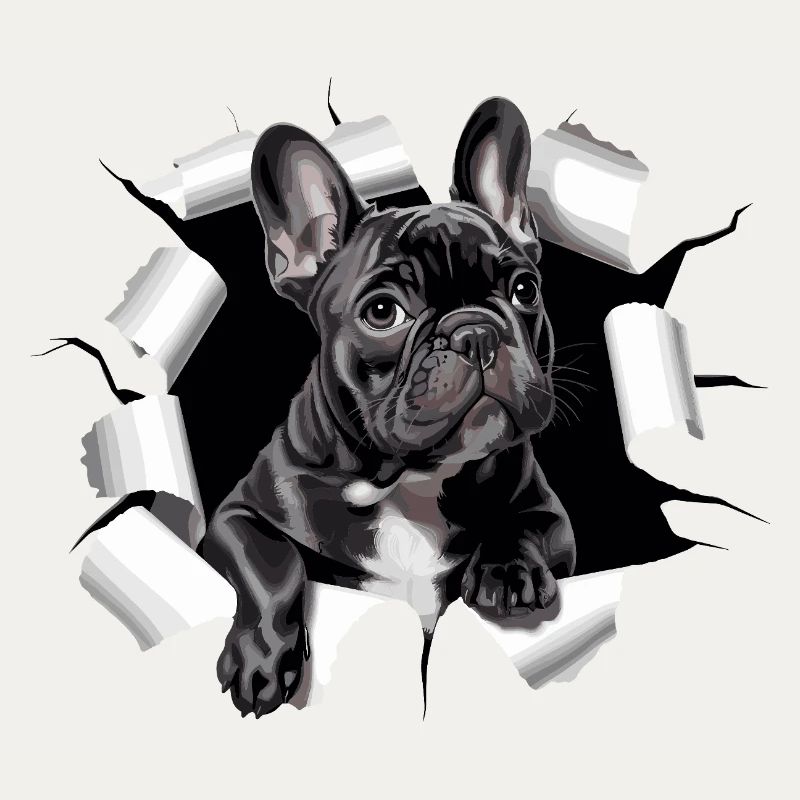 Chiot bouledogue français perce la percée