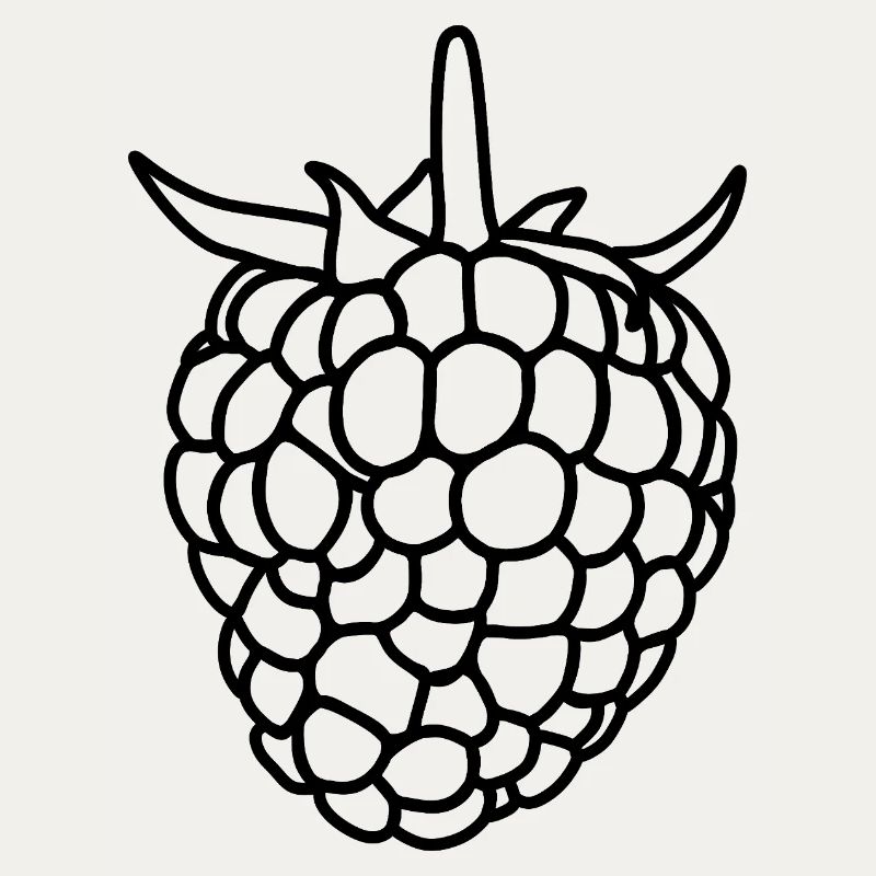 Raspberry Silhouette
