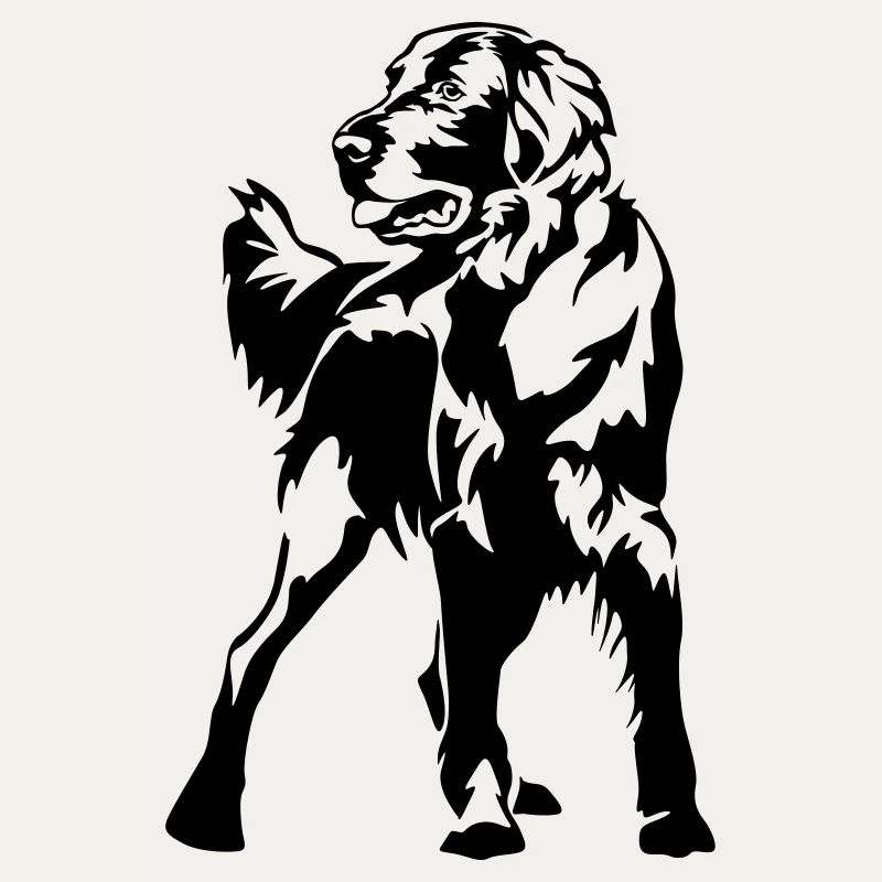 Flat-coated retriever