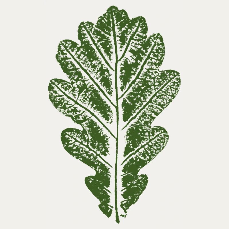 Oak Leaf / Leaves Design