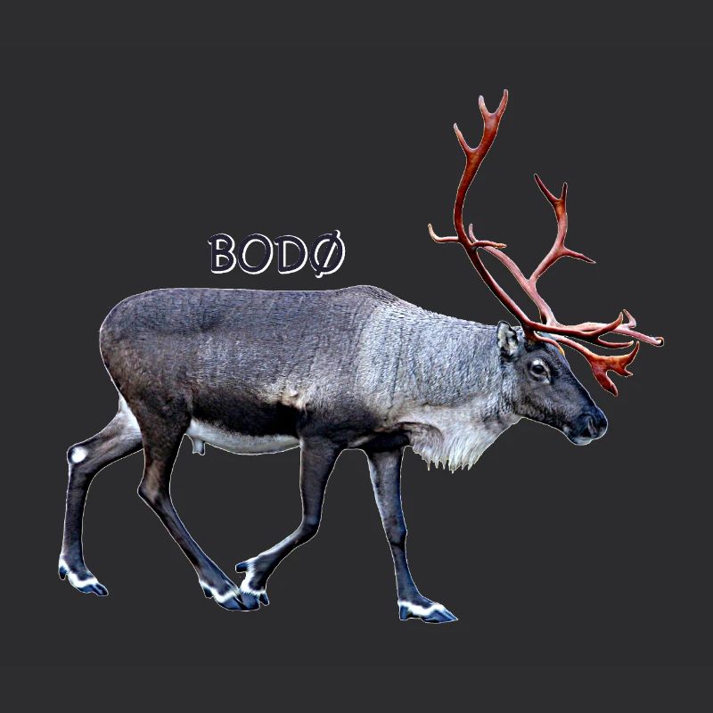 BODO