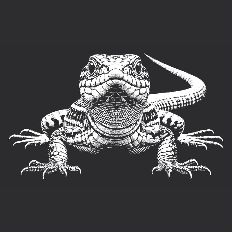 Lizard