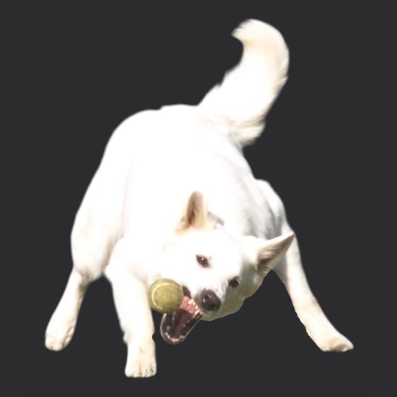 Attraper le ballon