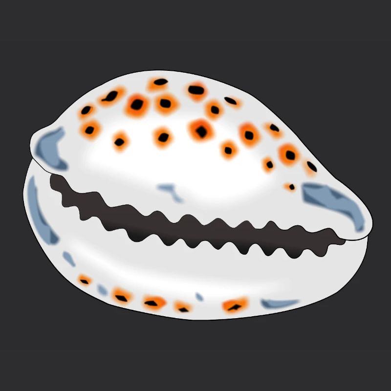 Coquille avec points