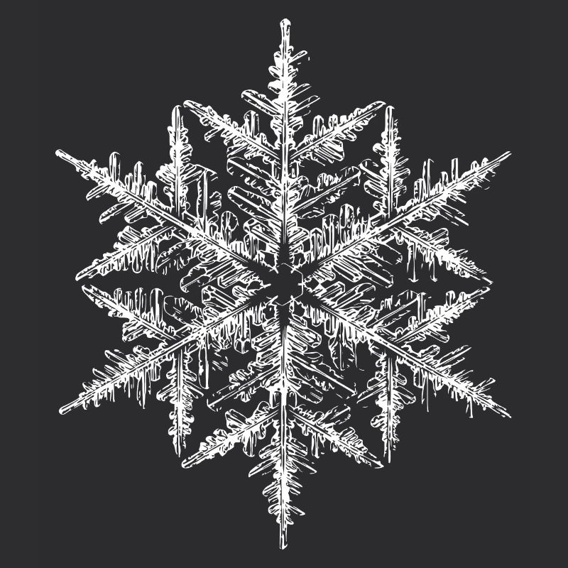 snowflake 5 white
