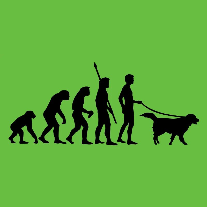 evolution_dog