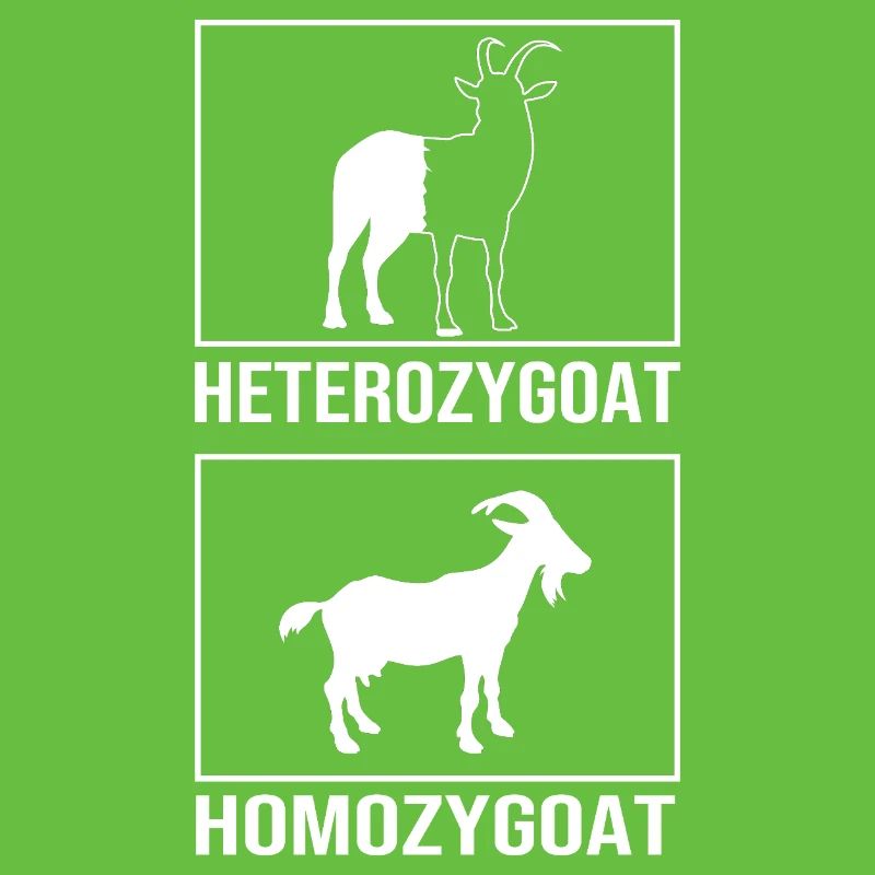Molecule Structural Formula
