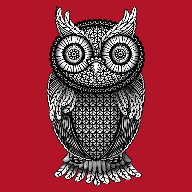 Owl Eagle Owl